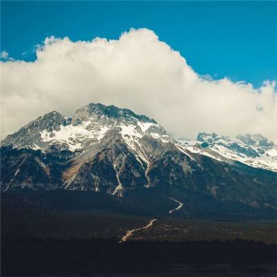 九游会AGapp下载